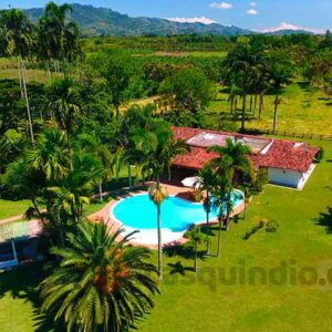 Finca los pollitos dicen